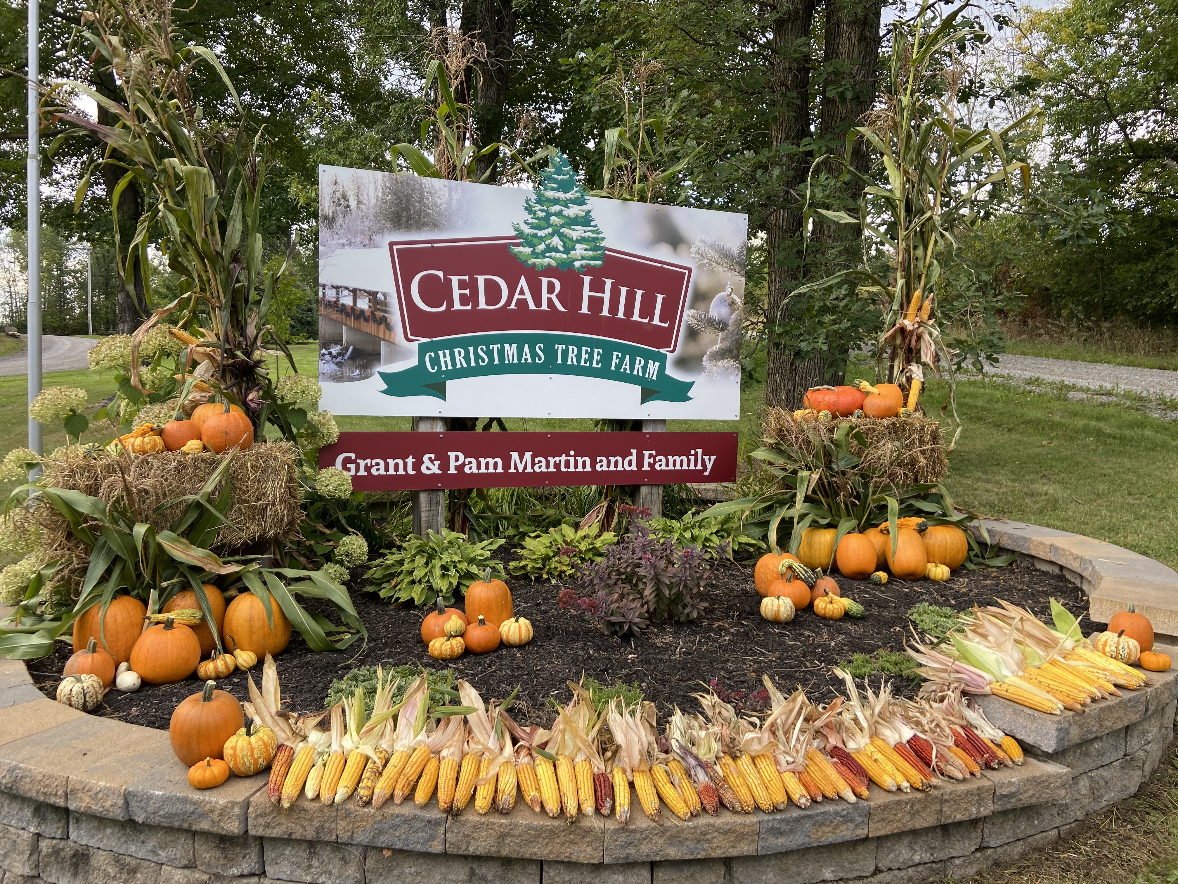 Cedar Hill Christmas Tree Farm – Pakenham Maple Run Tour